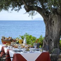avantis suites