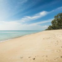 d varee mai khao beach