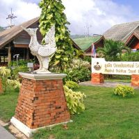 phuket golden sand inn