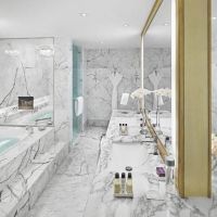the meydan hotel