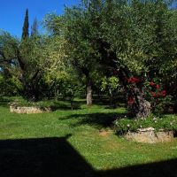 omirikon hotel & apartments