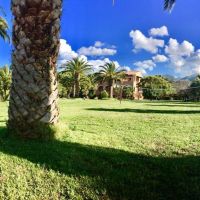 pami villa apts