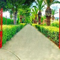 pami villa apts