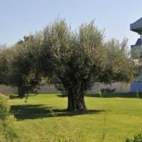 argiro village