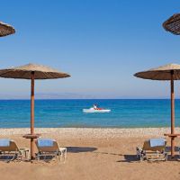 alex beach hotel