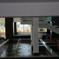 dodeca sea resort