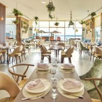 royal central hotel - the palm
