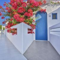 alex beach hotel