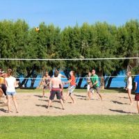 alex beach hotel