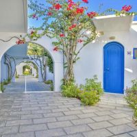 alex beach hotel