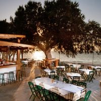 alex beach hotel