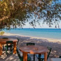 alex beach hotel