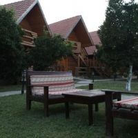 wood line hotel