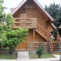 wood line hotel