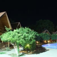 wood line hotel