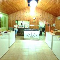 summer rose hotel