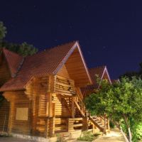 wood line hotel