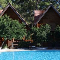 wood line hotel