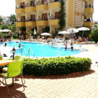 summer rose hotel