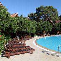 wood line hotel