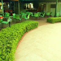 summer rose hotel