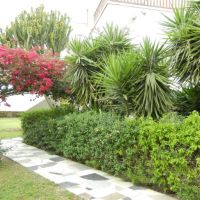 tsialis hotel apts