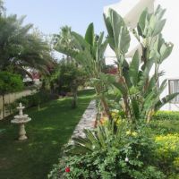 tsialis hotel apts