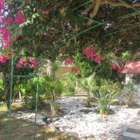 tsialis hotel apts