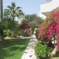 tsialis hotel apts