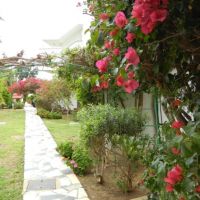 tsialis hotel apts