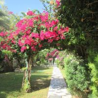 tsialis hotel apts