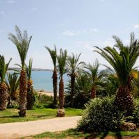 ascos coral beach hotel