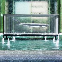 the ritz-carlton dubai international financial centre