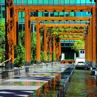 the ritz-carlton dubai international financial centre