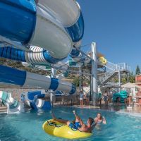 cactus beach 4 *