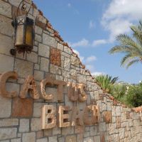 cactus beach 4 *