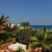 cactus beach 4 *