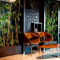 selene beach & spa 5 *