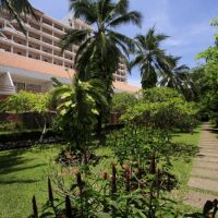patong resort hotel