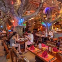 tiger inn