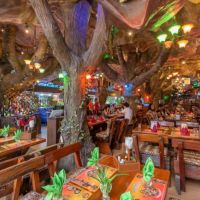 tiger inn
