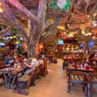 tiger inn