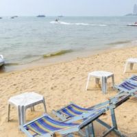 tribe hotel pattaya