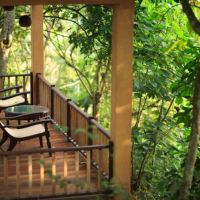 jungle village by thawthisa