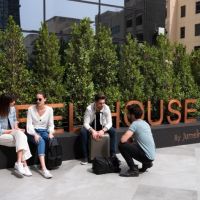 zabeel house the greens