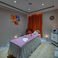 the s hotel al barsha.