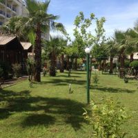 dream park bungalow hotel 3 *