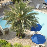 esperides beach family resort 4*