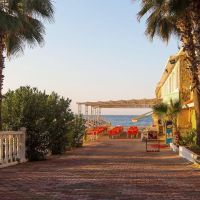 senza the garden beach club hv-1
