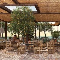 the royal senses 5 *